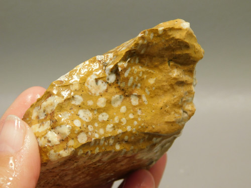 Spotted Fawn Stone or Tigilitis Lapidary Rough Rock #O3