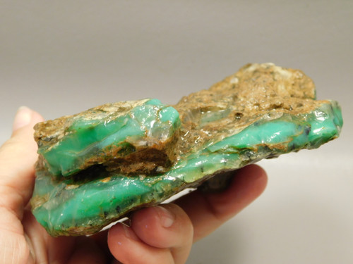 Chrysoprase or Chrysophrase Green Lapidary Rough Rock #O1