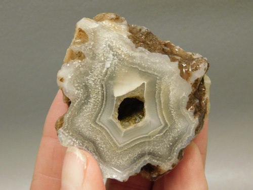 Polka Dot Agate Nodule Unpolished Rock Chuckwalla Springs California #O1