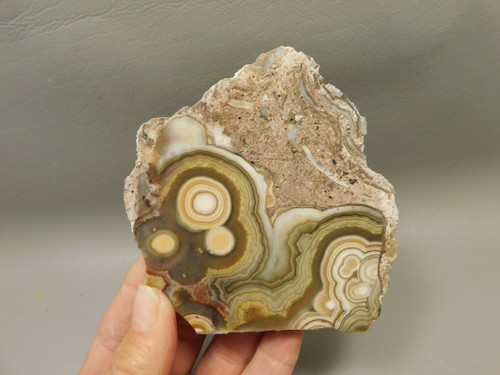 Crazy Lace Agate Stone Endcut Unpolished Rough Rock Mexico #O24