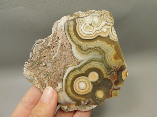 Crazy Lace Agate Stone Endcut Unpolished Rough Rock Mexico #O24