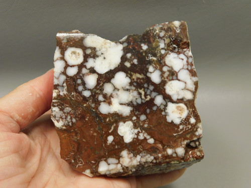Wild Horse Unpolished Rough Rock Lapidary Arizona #O26