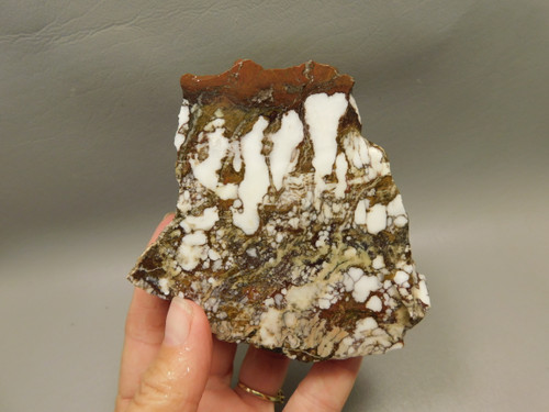 Wild Horse Unpolished Rough Rock Lapidary Arizona #O27