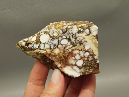 Wild Horse Unpolished Thick Slab Rough Rock Lapidary Arizona #O28
