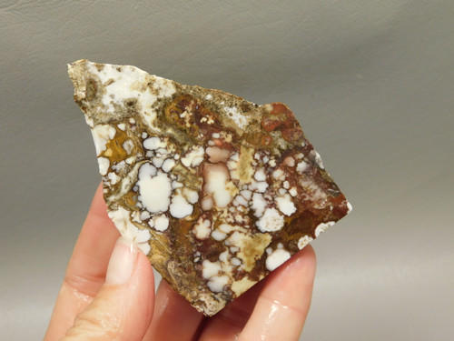 Wild Horse Unpolished Thick Slab Rough Rock Lapidary Arizona #O28