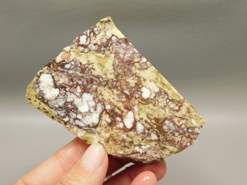 Wild Horse Unpolished Thick Slab Rough Rock Lapidary Arizona #O29
