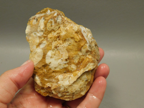 Spotted Fawn Stone or Tigilitis Lapidary Rough Rock #O4
