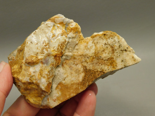 Spotted Fawn Stone or Tigilitis Lapidary Rough Rock #O5