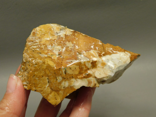 Spotted Fawn Stone or Tigilitis Lapidary Rough Rock #O5