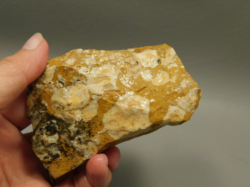Spotted Fawn Stone or Tigilitis Lapidary Rough Rock #O6