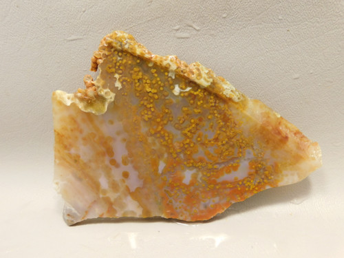 Ocean Jasper Unpolished Stone Slab Natural Lapidary Rock #O11
