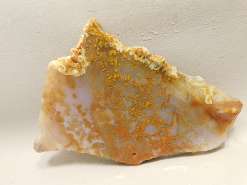 Ocean Jasper Unpolished Stone Slab Natural Lapidary Rock #O12