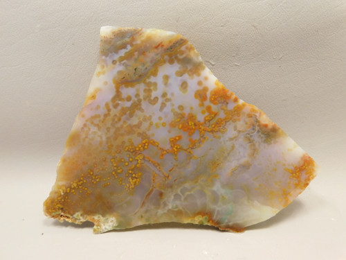 Ocean Jasper Unpolished Stone Slab Natural Lapidary Rock #O13
