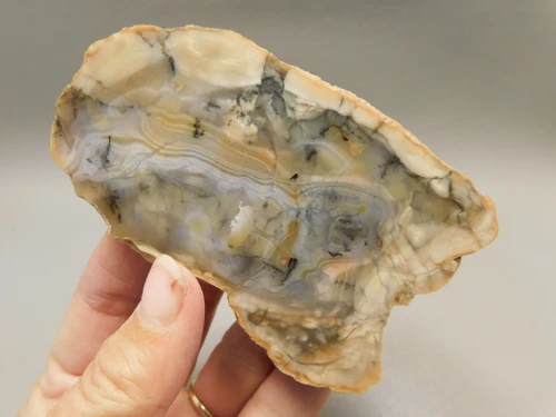 Chapenite Jasper Polished Collector Rock Ft. Irwin California #O7