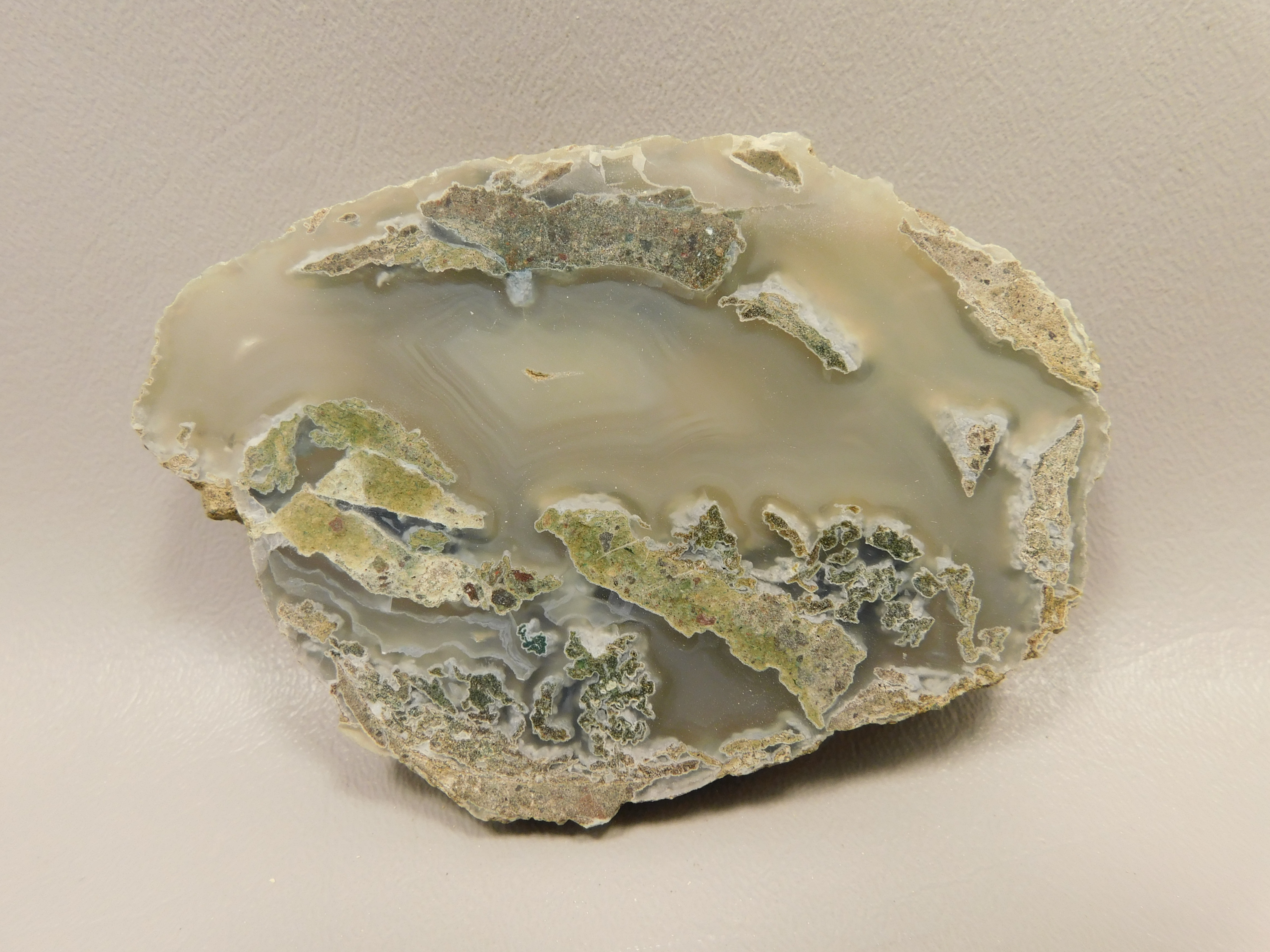 Limb Cast or Petrified Wood