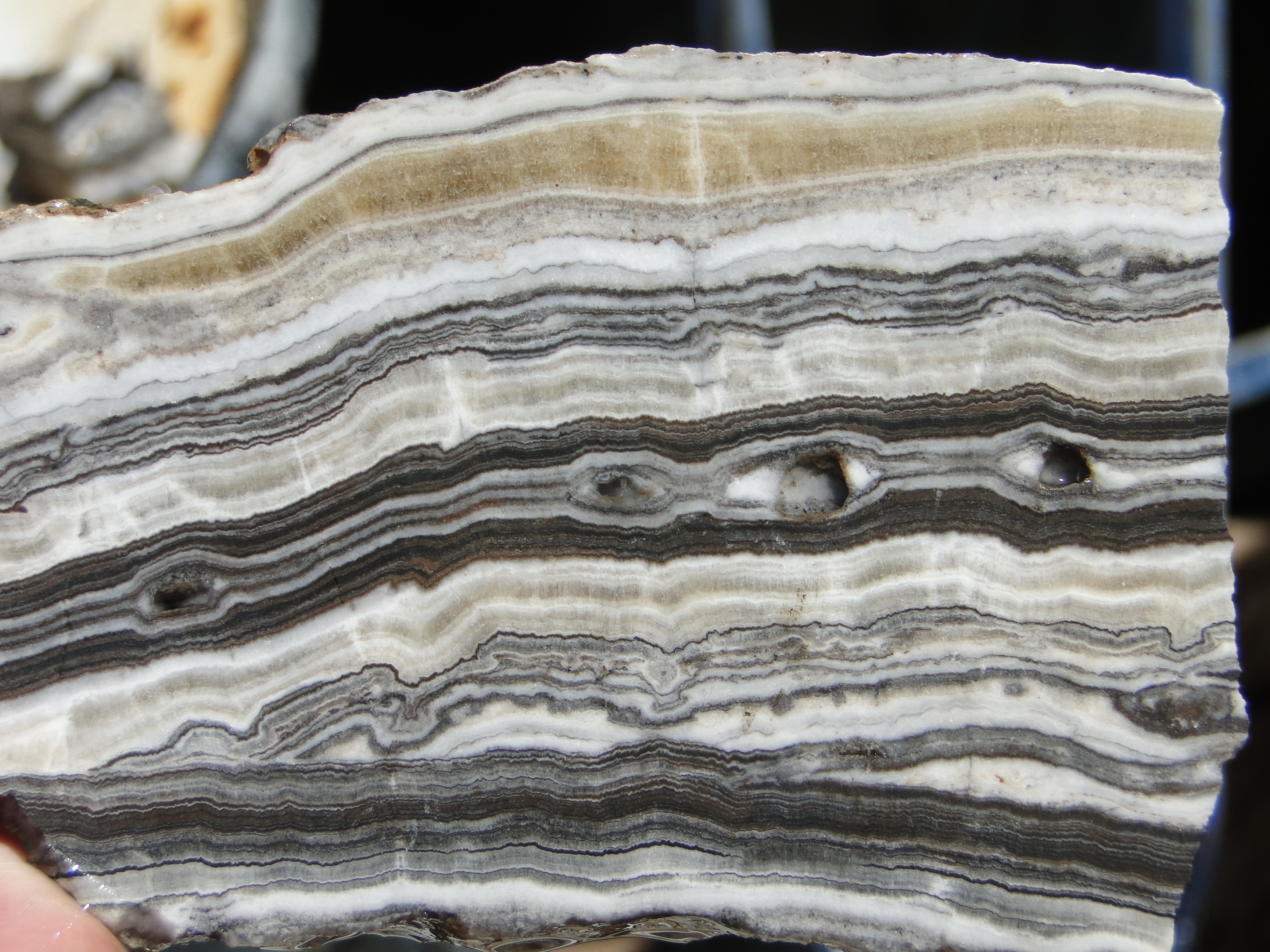 Sedimentary Rocks