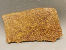 Coquina Jasper Lapidary Rough Rock Script Stone Slab Cabbing #O5