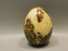 Septarian Nodule Egg Shaped 2.4 inch Polished Rock Utah Stone #O1