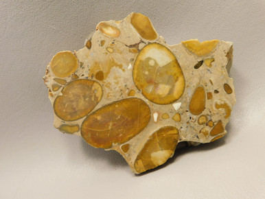 Hertfordshire Puddingstone Polished Stone Slab Conglomerate Rock #O7 ...