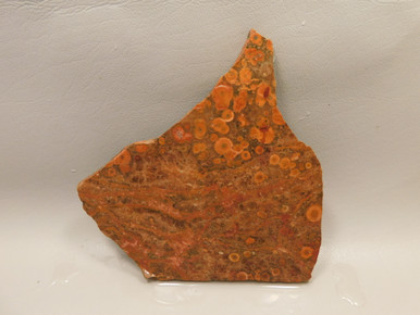 Birdseye Rhyolite Rough Rock Poppy Jasper Stone Slab #O2 - OakRocks