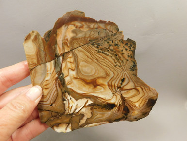 Blue Biggs Picture Jasper Unpolished Rough Rock Oregon #O2 - OakRocks