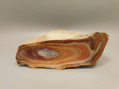 Wonderstone Rhyolite Pink Banded Polished Rock Utah #O11 - OakRocks
