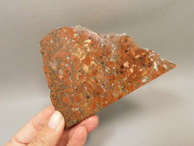 Copper Rose Stone Slab Kingston Conglomerate Rough Rock #O1 - OakRocks