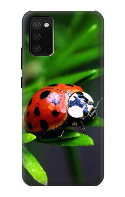 W0263 Coccinelle Etui Coque Housse et Flip Housse Cuir pour Samsung Galaxy A02s, Galaxy M02s