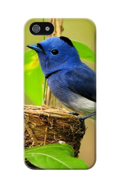 W3839 Oiseau bleu du bonheur Oiseau bleu Etui Coque Housse et Flip Housse Cuir pour iPhone 5 5S SE