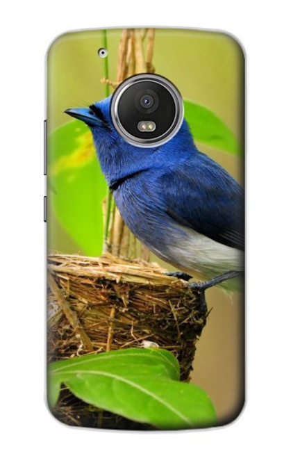 W3839 Oiseau bleu du bonheur Oiseau bleu Etui Coque Housse et Flip Housse Cuir pour Motorola Moto G5 Plus