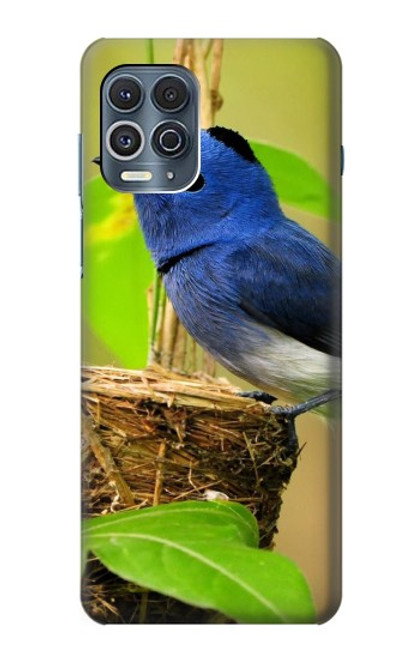 W3839 Oiseau bleu du bonheur Oiseau bleu Etui Coque Housse et Flip Housse Cuir pour Motorola Edge S