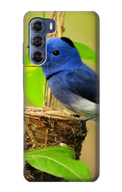 W3839 Oiseau bleu du bonheur Oiseau bleu Etui Coque Housse et Flip Housse Cuir pour Motorola Edge S30