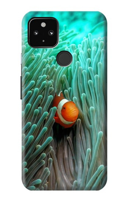 W3893 Poisson-clown Ocellaris Etui Coque Housse et Flip Housse Cuir pour Google Pixel 4a 5G