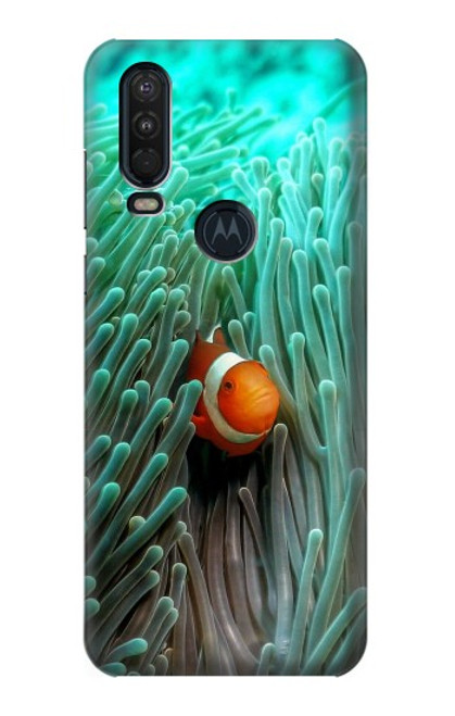 W3893 Poisson-clown Ocellaris Etui Coque Housse et Flip Housse Cuir pour Motorola One Action (Moto P40 Power)