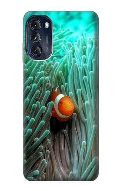 W3893 Poisson-clown Ocellaris Etui Coque Housse et Flip Housse Cuir pour Motorola Moto G (2022)