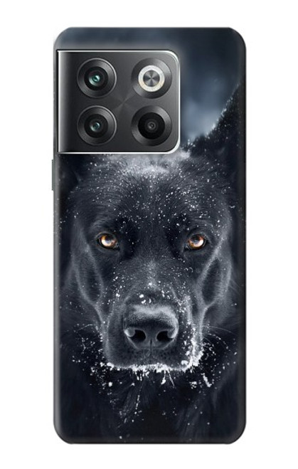 W3168 Berger Allemand Chien Noir Etui Coque Housse et Flip Housse Cuir pour OnePlus Ace Pro