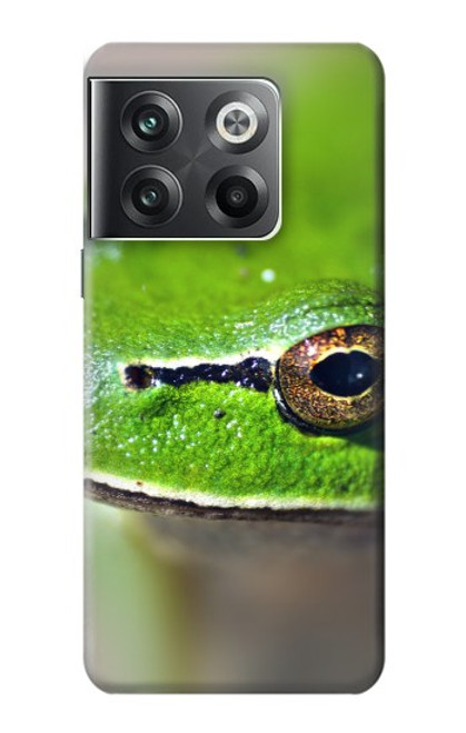 W3845 Grenouille verte Etui Coque Housse et Flip Housse Cuir pour OnePlus Ace Pro