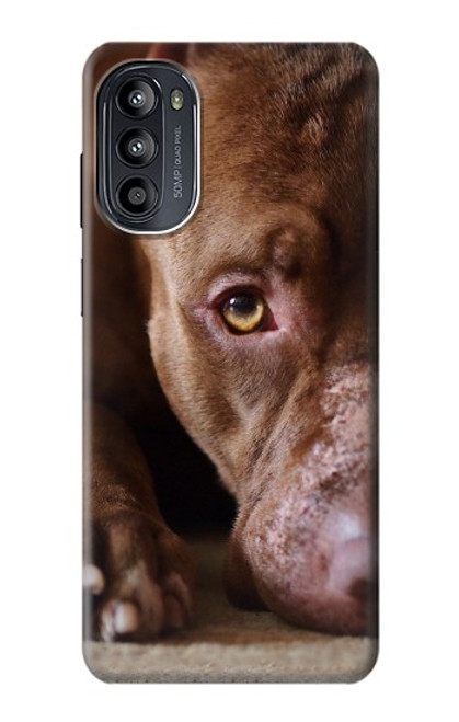 W0519 PitBull Visage Etui Coque Housse et Flip Housse Cuir pour Motorola Moto G52, G82 5G