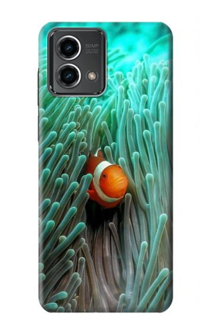 W3893 Poisson-clown Ocellaris Etui Coque Housse et Flip Housse Cuir pour Motorola Moto G Stylus 5G (2023)