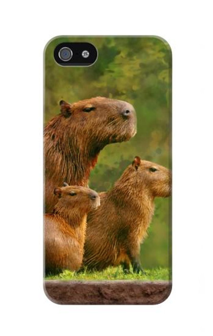 W3917 Cochon d'Inde géant de la famille Capybara Etui Coque Housse et Flip Housse Cuir pour iPhone 5 5S SE