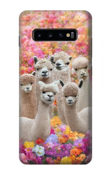 W3916 Alpaga Famille Bébé Alpaga Etui Coque Housse et Flip Housse Cuir pour Samsung Galaxy S10 Plus