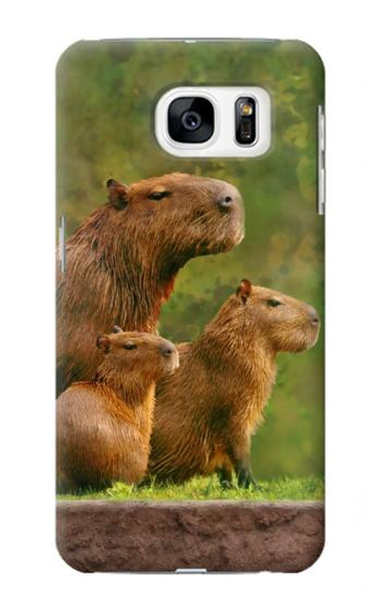 W3917 Cochon d'Inde géant de la famille Capybara Etui Coque Housse et Flip Housse Cuir pour Samsung Galaxy S7