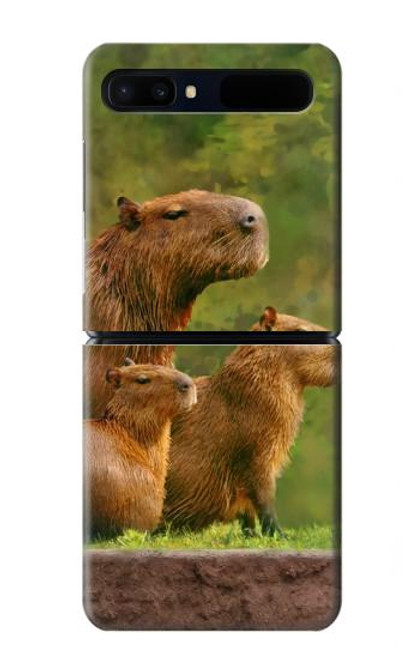 W3917 Cochon d'Inde géant de la famille Capybara Etui Coque Housse et Flip Housse pour Samsung Galaxy Z Flip 5G