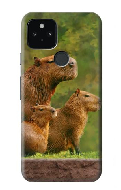 W3917 Cochon d'Inde géant de la famille Capybara Etui Coque Housse et Flip Housse Cuir pour Google Pixel 5