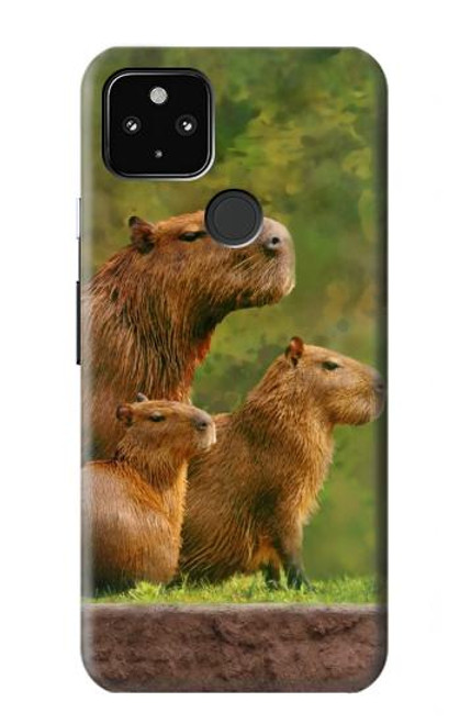 W3917 Cochon d'Inde géant de la famille Capybara Etui Coque Housse et Flip Housse Cuir pour Google Pixel 4a 5G