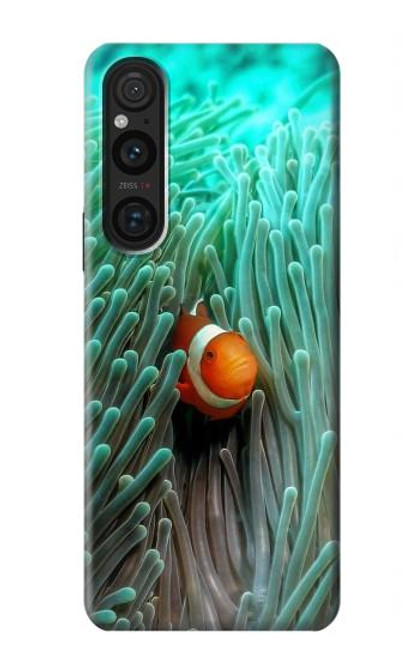 W3893 Poisson-clown Ocellaris Etui Coque Housse et Flip Housse Cuir pour Sony Xperia 1 V