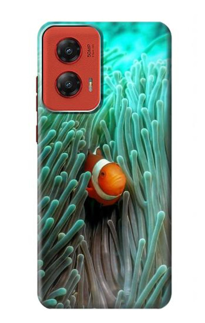 W3893 Poisson-clown Ocellaris Etui Coque Housse et Flip Housse Cuir pour Motorola Moto G Stylus 5G (2024)