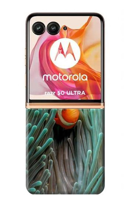 W3893 Poisson-clown Ocellaris Etui Coque Housse et Flip Housse Cuir pour Motorola Razr 50 Ultra