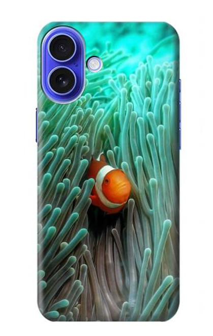 W3893 Poisson-clown Ocellaris Etui Coque Housse et Flip Housse Cuir pour iPhone 16