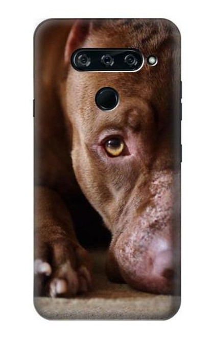 W0519 PitBull Visage Etui Coque Housse et Flip Housse Cuir pour LG V40, LG V40 ThinQ